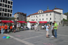 03_Festival-zdravja-20263