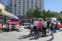 04_Festival-zdravja-20264