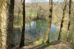 IMG_0100