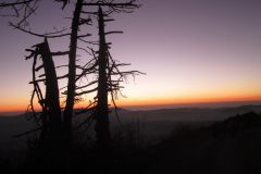 IMG_0107