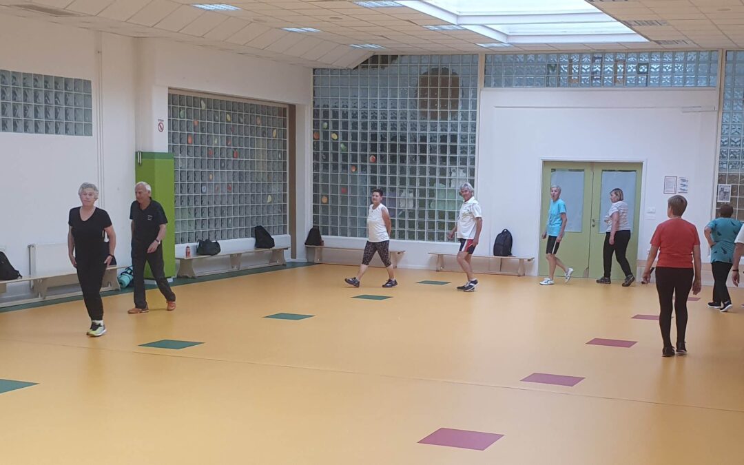 Zaključek telovadne sezone v Postojni 23. 6. 2022